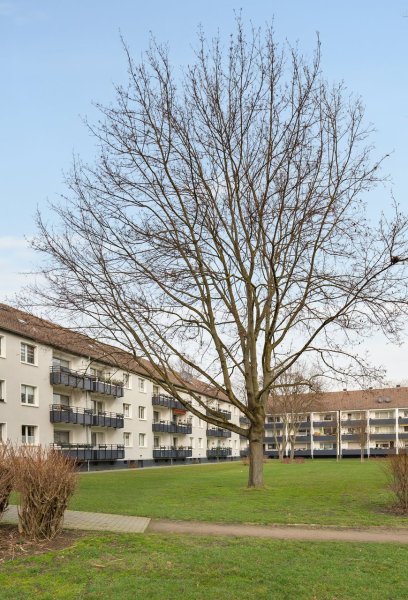 Fassade Mehrfamilienhaus mit Grünflächen