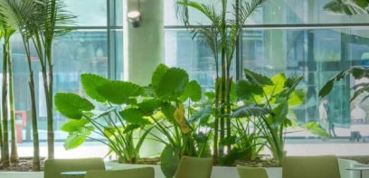 Wartebereich mit üppigen Grünpflanzen