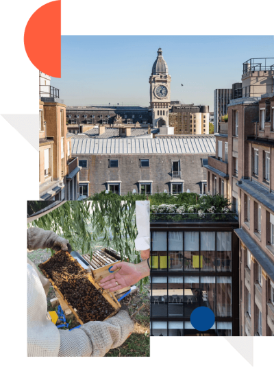 Dachgärten, Samen werden in Blumentöpfe gesetzt