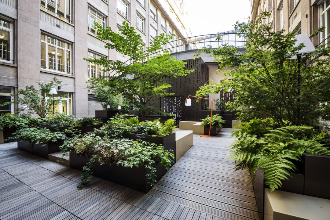 Innenhof mit vielen Pflanzen