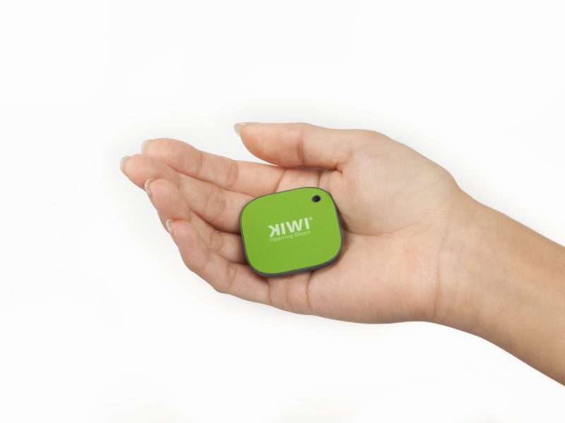 Hand hält KIWI-Chip