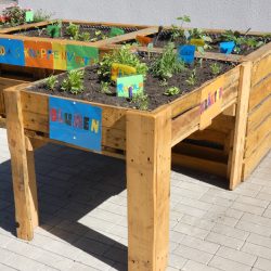 Hochbeete mit bunten Schildern