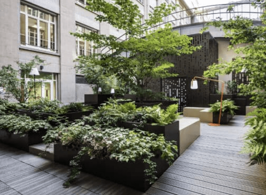 Innenhof mit vielen Pflanzen