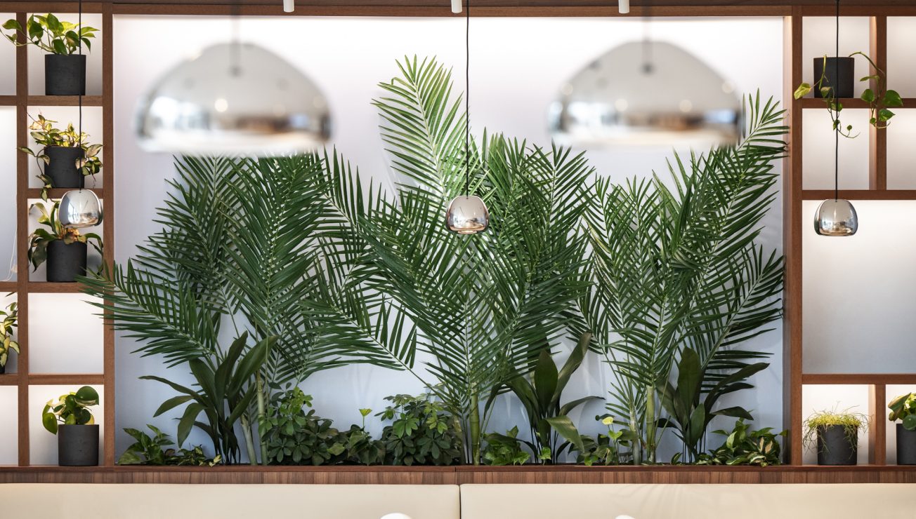 Sitzbereich mit Pflanzen und moderne Dekoration im Hintergrund