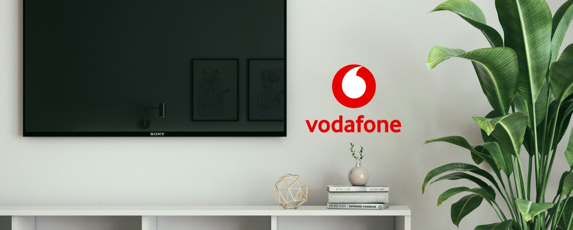 Ein Fernseher, eine Pflanze und Vodafone Logo