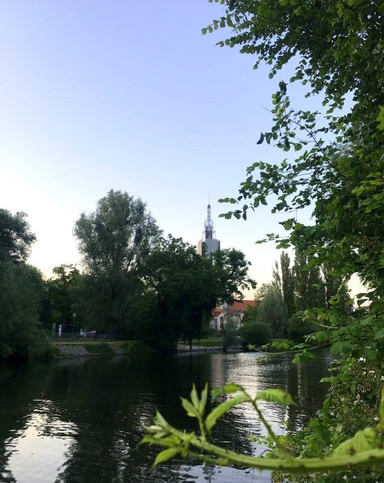 Mittagspause im Park