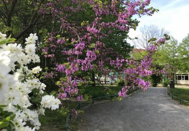 Pause im Koeltzepark ?