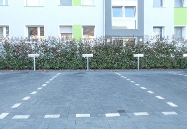 Beispielfoto Stellplatz