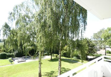 Beispielfoto Umfeld hinten