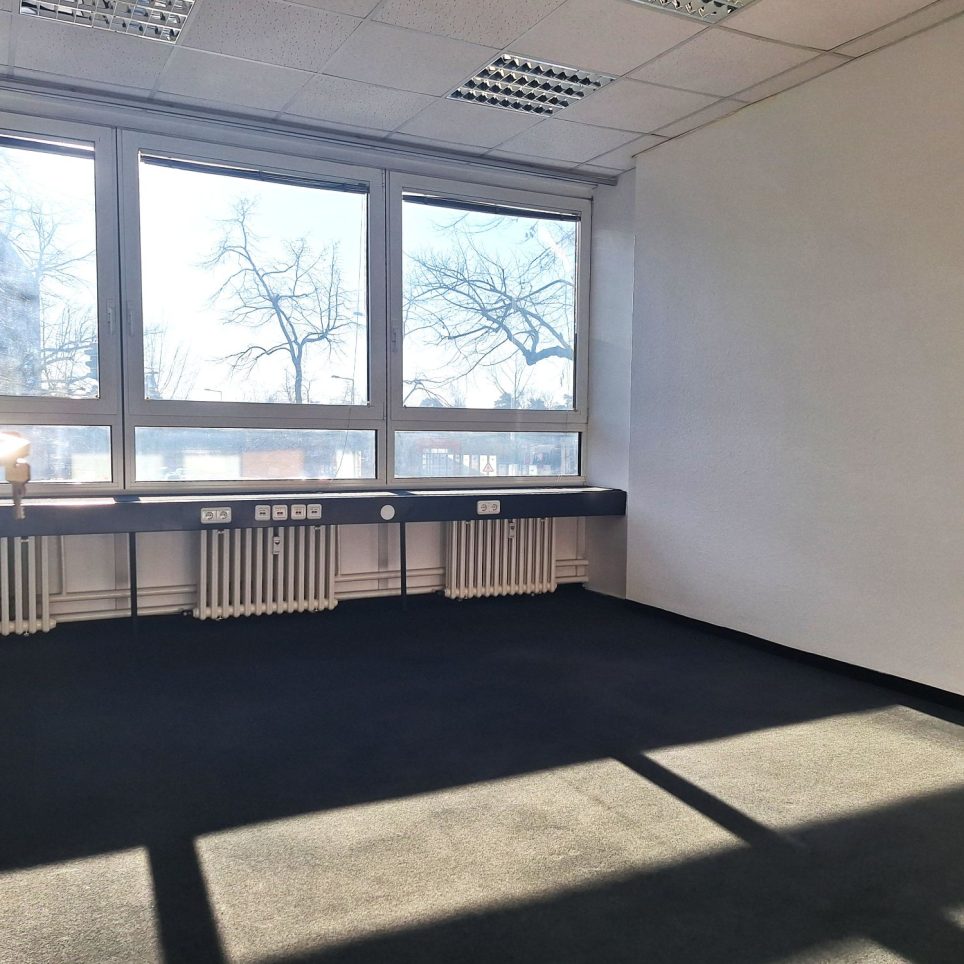 sonniger Arbeitsplatz!