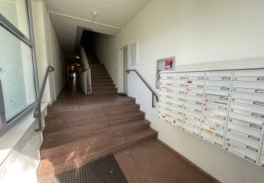 gepflegtes Treppenhaus