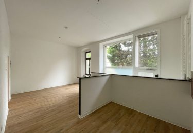 Blick in den offenen Wohnbereich