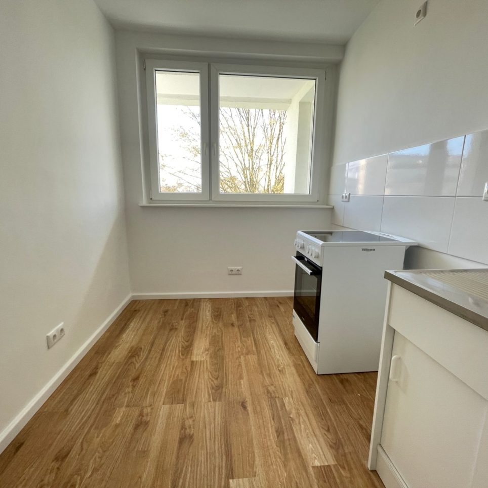 MUSTERBILD Küche mit Herd und Spüle