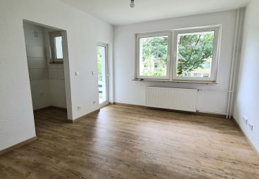 Wohnküche mit Kochnische