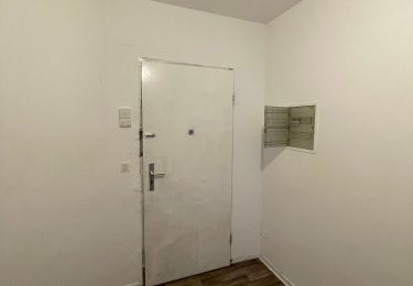 Diele (alter Fußboden)