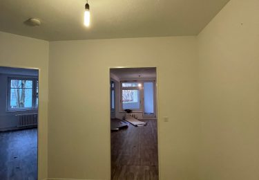 Diele (alter Fußboden)