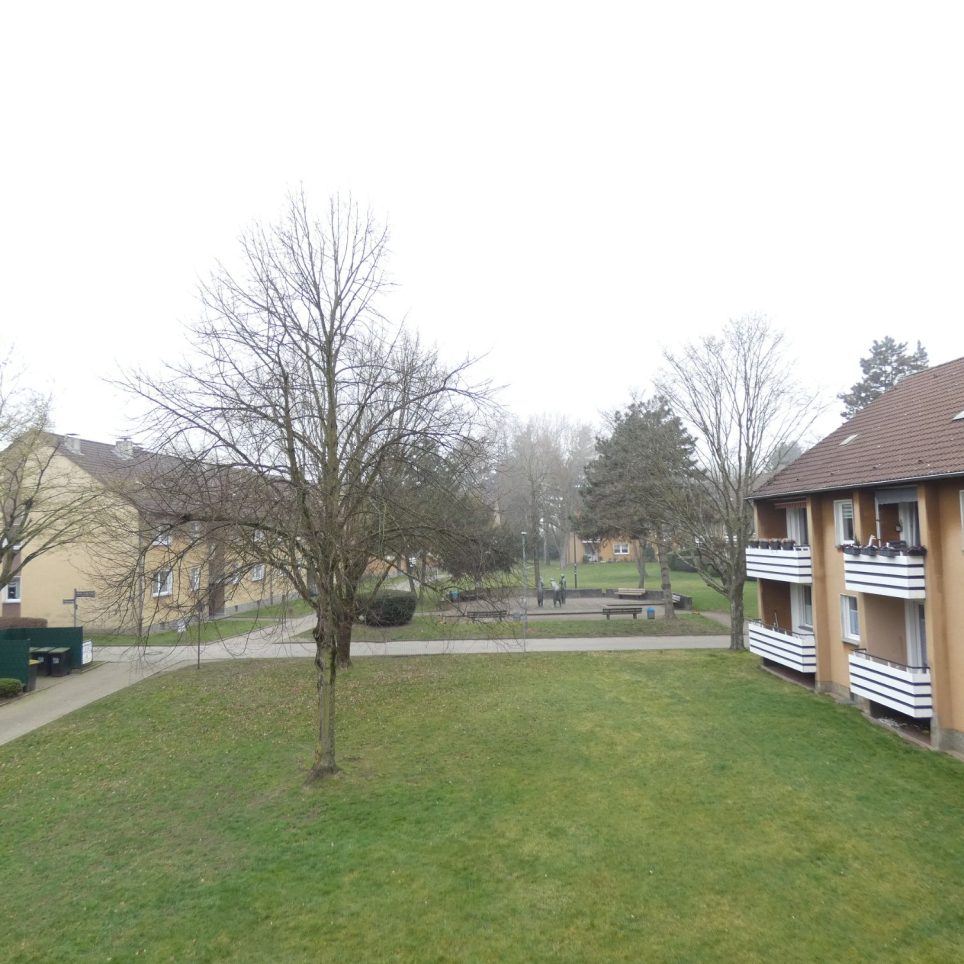 Beispielfoto Ausblick