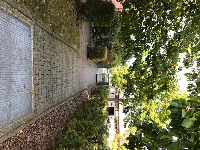 ** Familienwohnung in Dresden-Tolkewitz ** - Photo 5