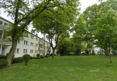 Umgebung