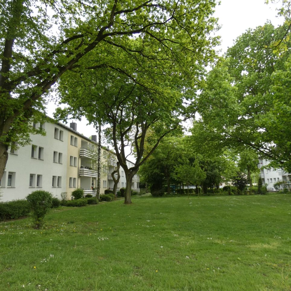 Umgebung