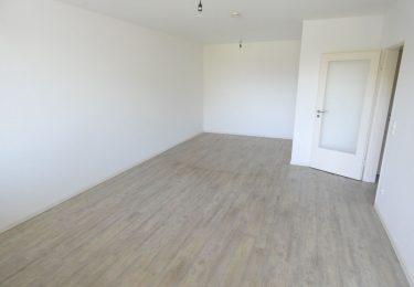 Wohnraum / Schlafbereich
