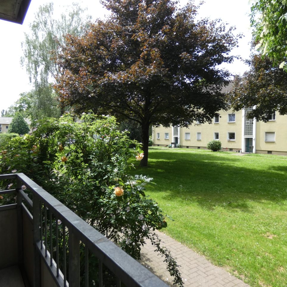 Balkon/Blickvom Balkon