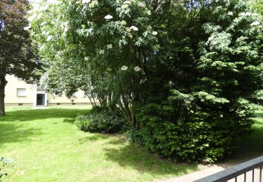Balkon/Blickvom Balkon