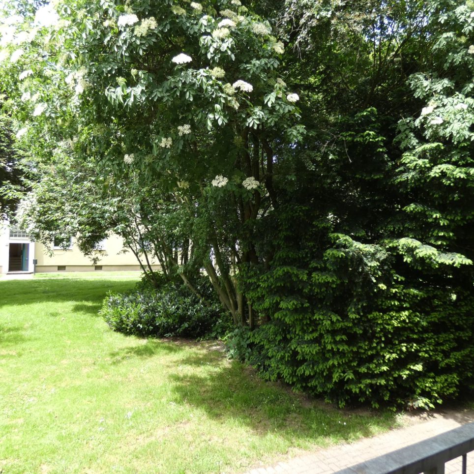 Balkon/Blickvom Balkon