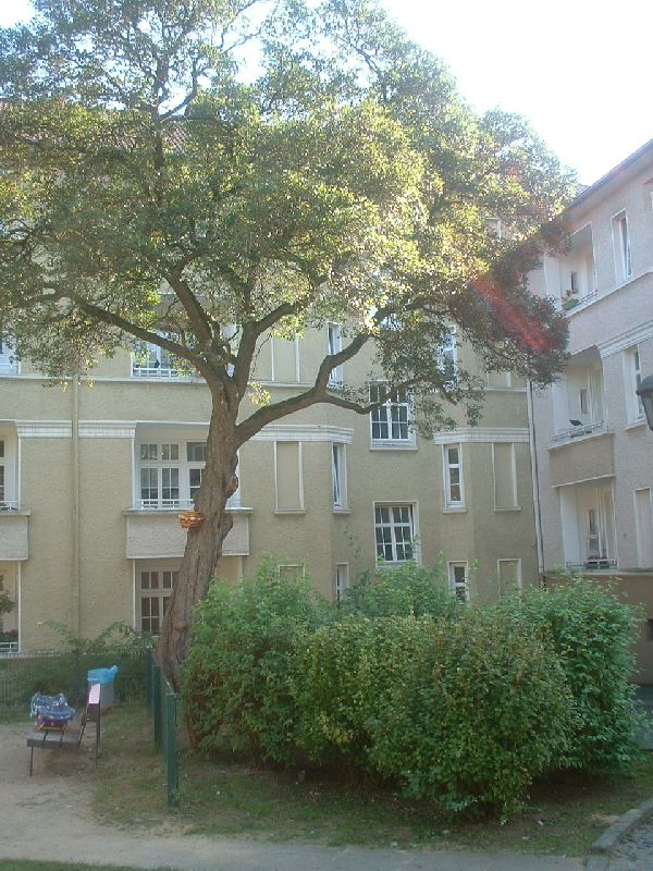 *** Großzügige 2-Zi-Wohnung sucht neue Bewohner *** - Photo 3