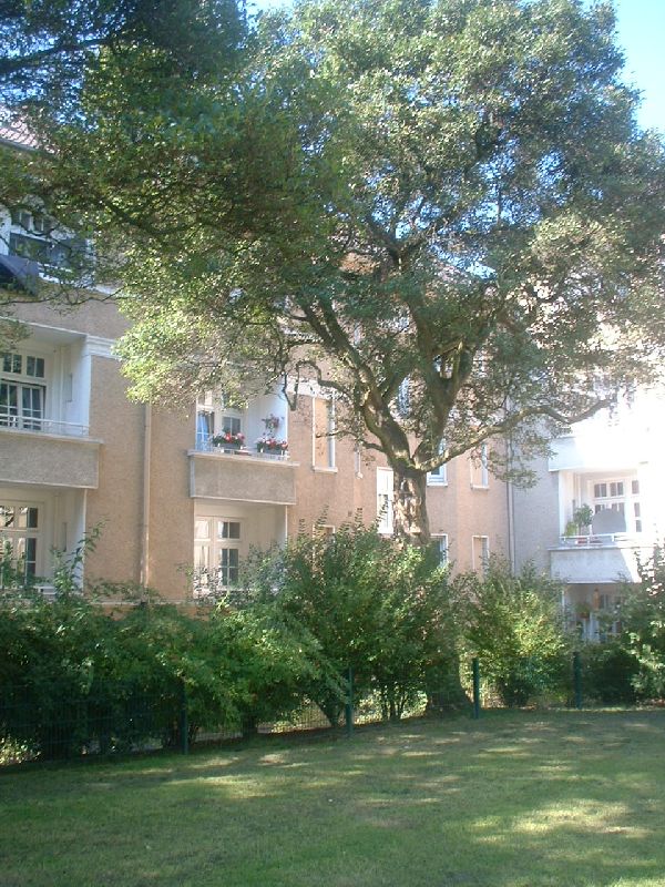 *** Modernisierte EG-Altbauwohnung mit Loggia im beliebten Luisenhof *** - Photo 3