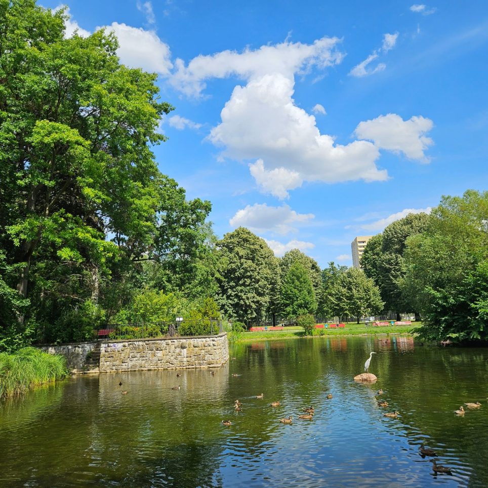 Wohnen am Gemeindepark