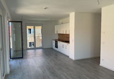 تصویر **Neubau-Schmuckstück - modern, EBK, ruhig und zentral**