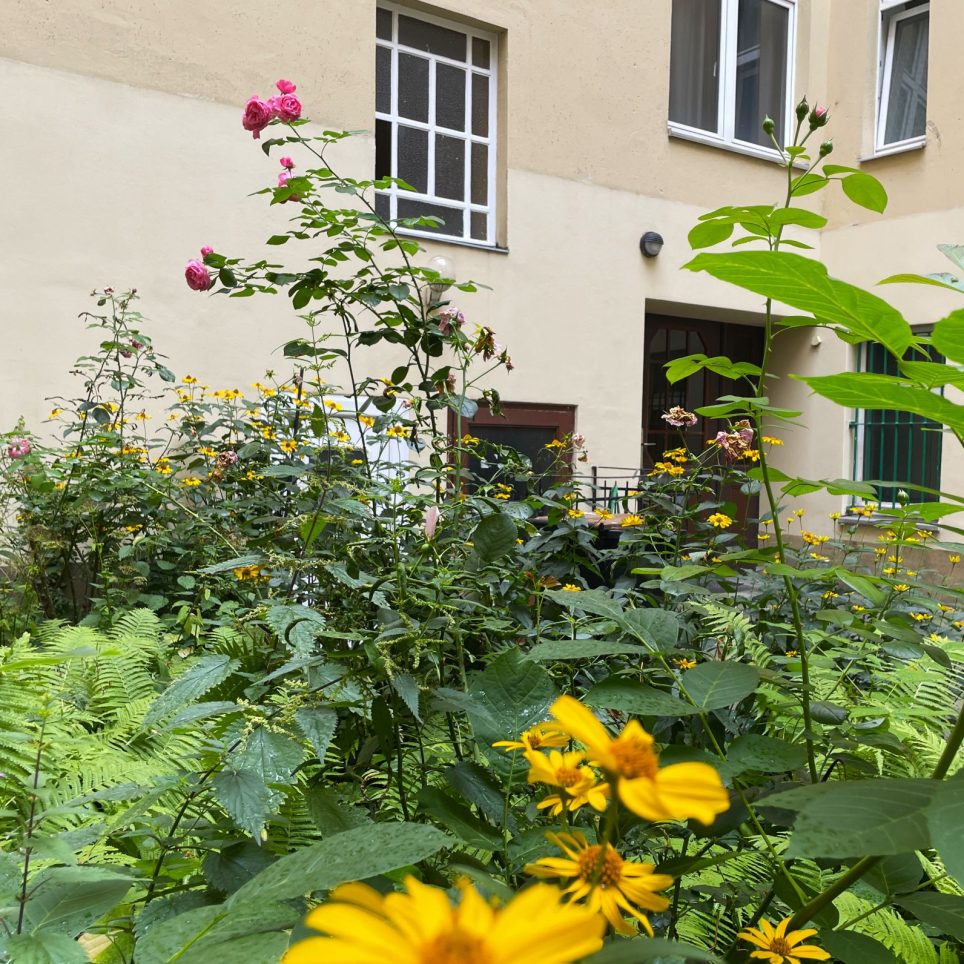 grüner Hofbereich