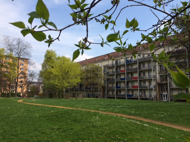 Studienplatz in Dresden, aber noch keine Wohnung? Na dann aber los!!! - Photo 4