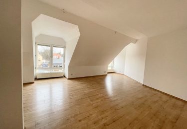 Blick ins Wohnzimmer
