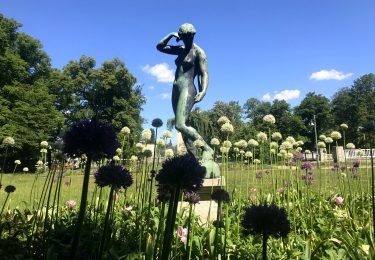 Wröhmännerpark fußläufig