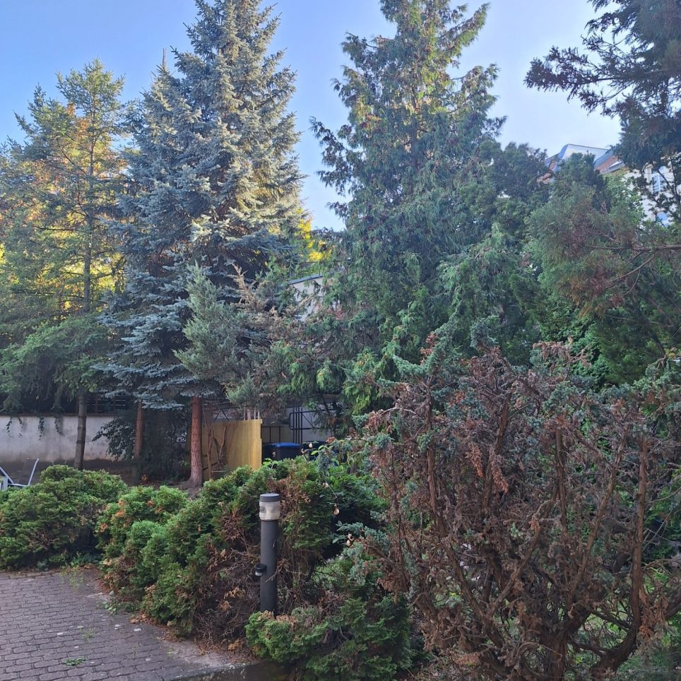 begrünter Hof