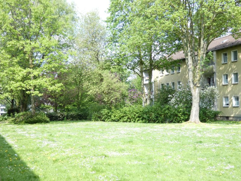Grün und zentral – Ihre neue Wohnung mit 3 Zimmern- bereits saniert! - Foto 2