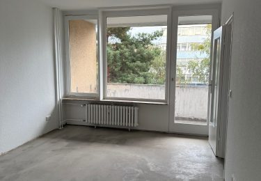Wohn -und Schlafzimmer