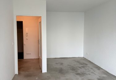 Wohn -und Schlafzimmer