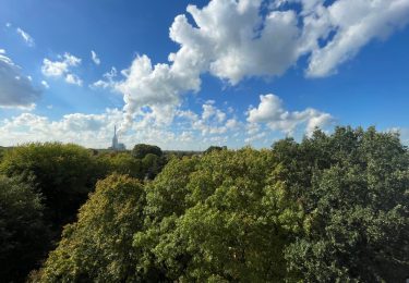 Aussicht vom Balkon