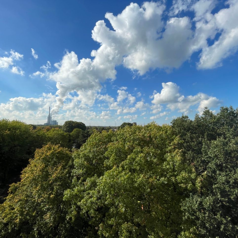 Aussicht vom Balkon