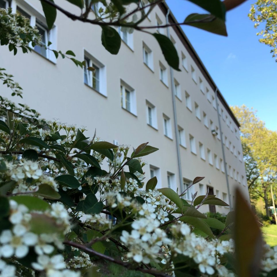 Wohnen im Grünen