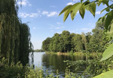 تصویر Ihre Familie such ein neues Zuhause in Spandau?