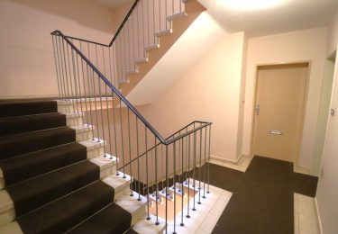 تصویر Saniertes Singleapartment wartet auf Sie!