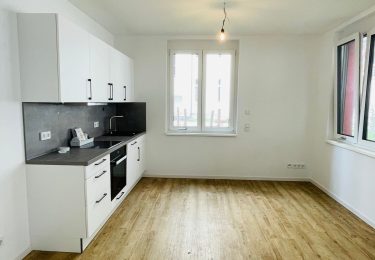 تصویر In Eile? Bezugsfertiger Neubau am Leo mit EBK & Terrasse!
