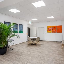 Wartebereich mit Grünpflanze und Kunstwerken