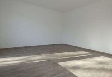 Beispielfoto Wohnraum