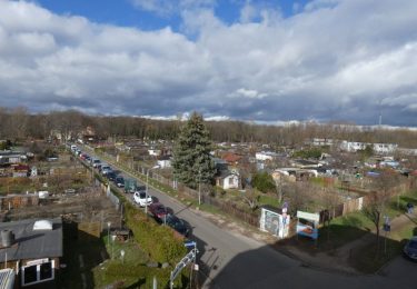 Ausblick