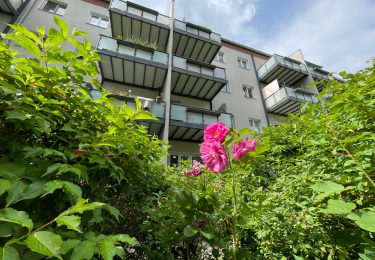 Wohnungen teilweise mit Balkon